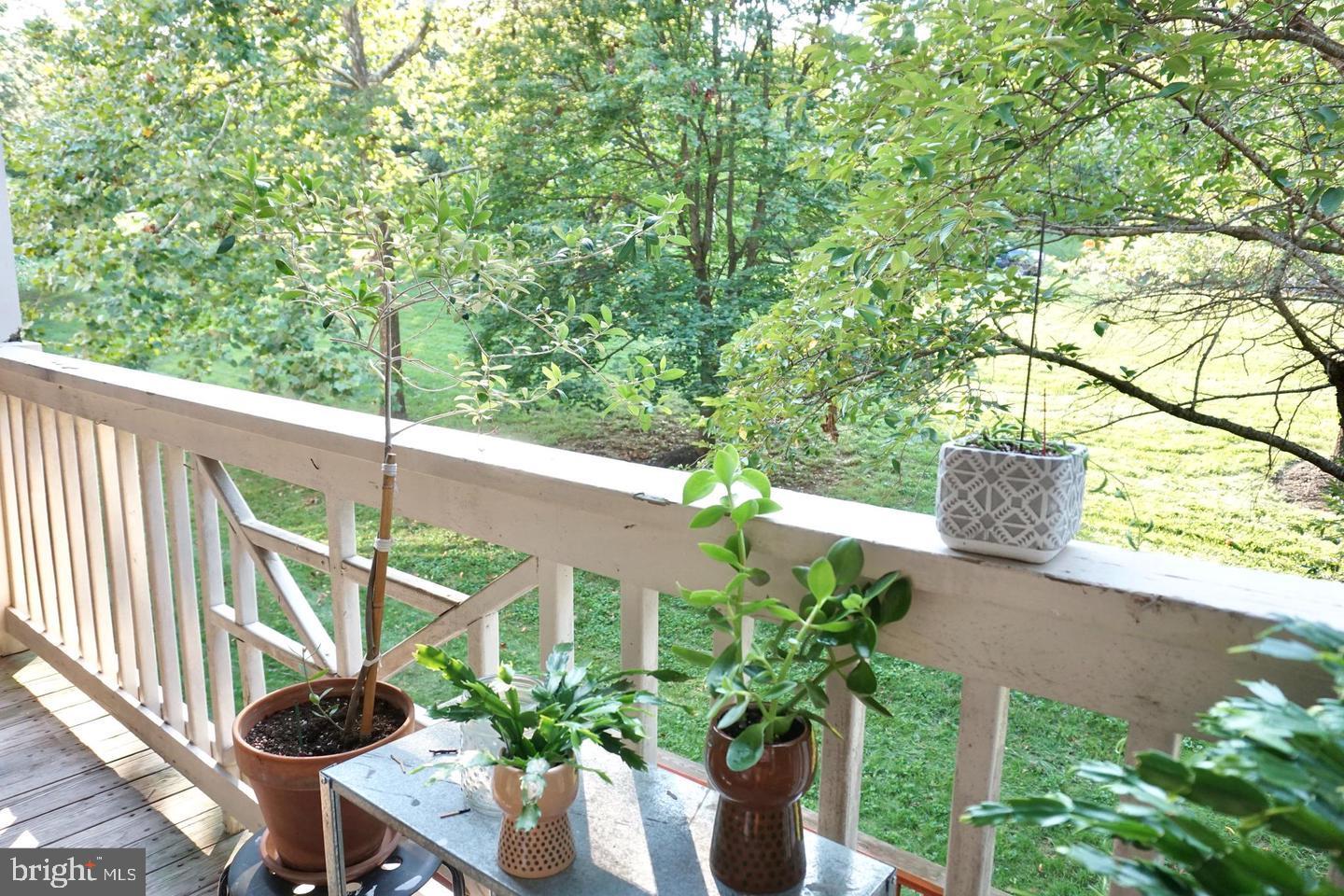 KINGSTOWNE - Residential Lease