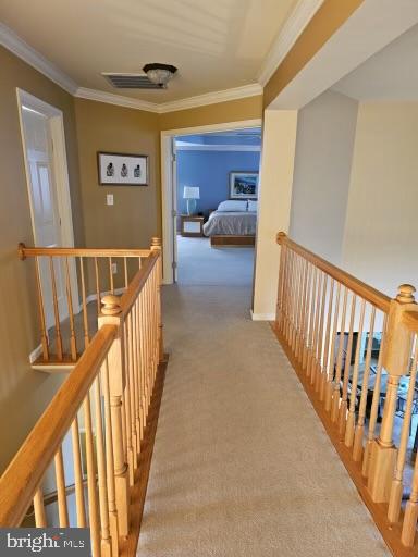 SOMERSET - Residential Lease