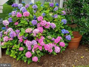 SOMERSET - Residential Lease