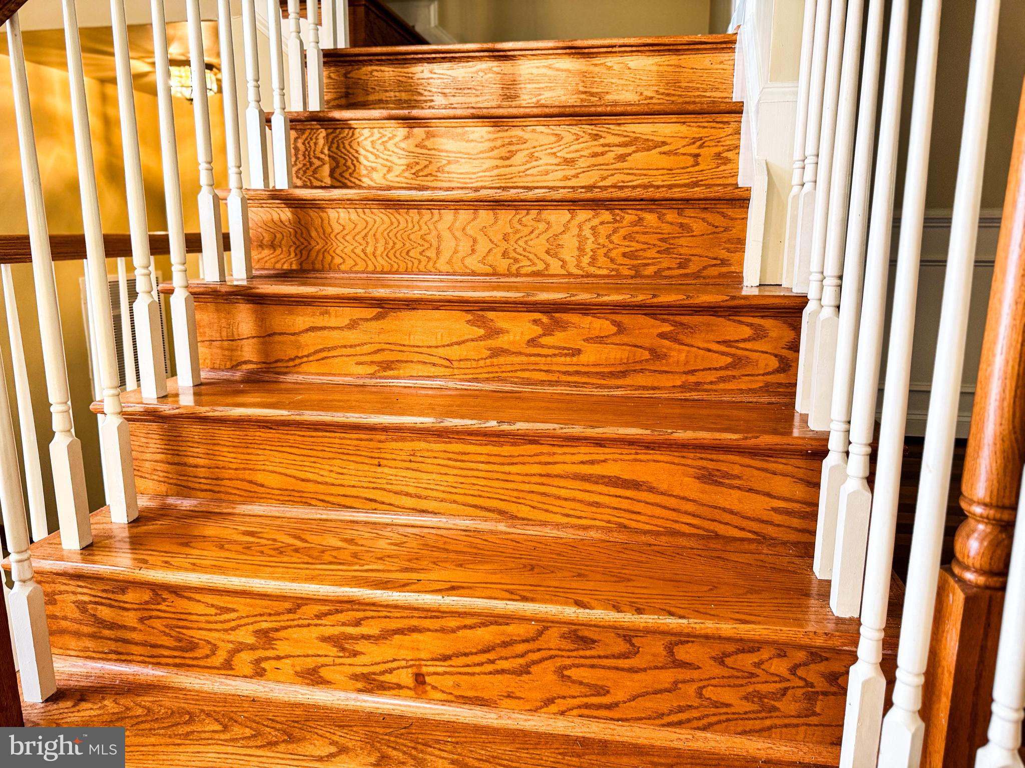 FAIRFAX PARK - Residential Lease