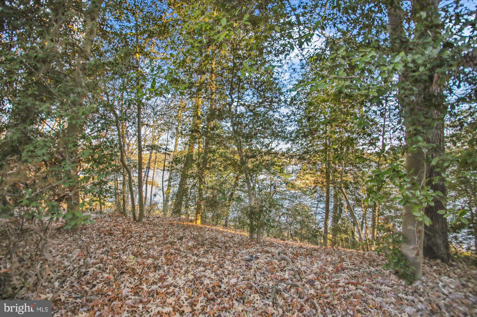 INDIAN LANDING - Residential