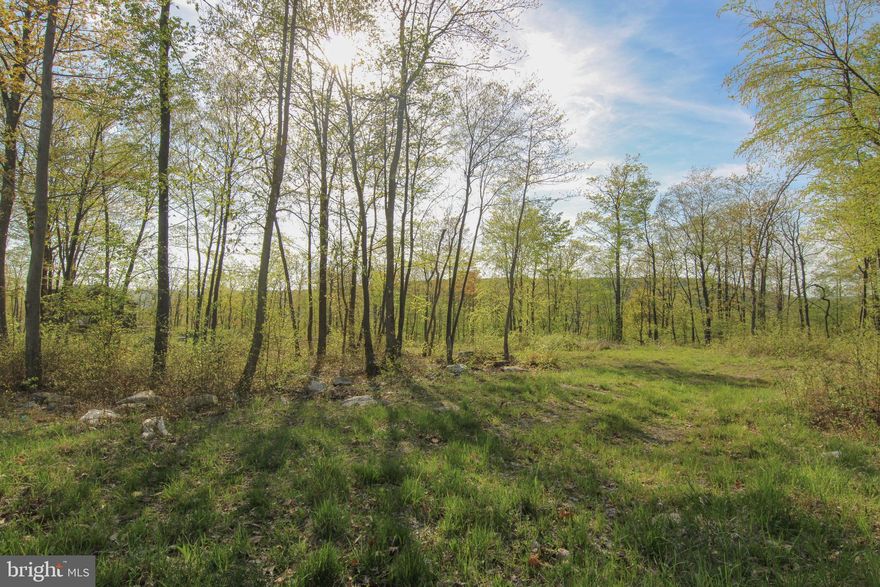 Tucked on the backside of Wisp Mountain in a quiet gated community, this level lot offers mountainous sunset views. Less than half a mile to the Wisp Ski slopes and just minutes to local attractions such as Deep Creek Lake, ASCI White Water Rafting, Fork Run, and much more! All utilities are underground.