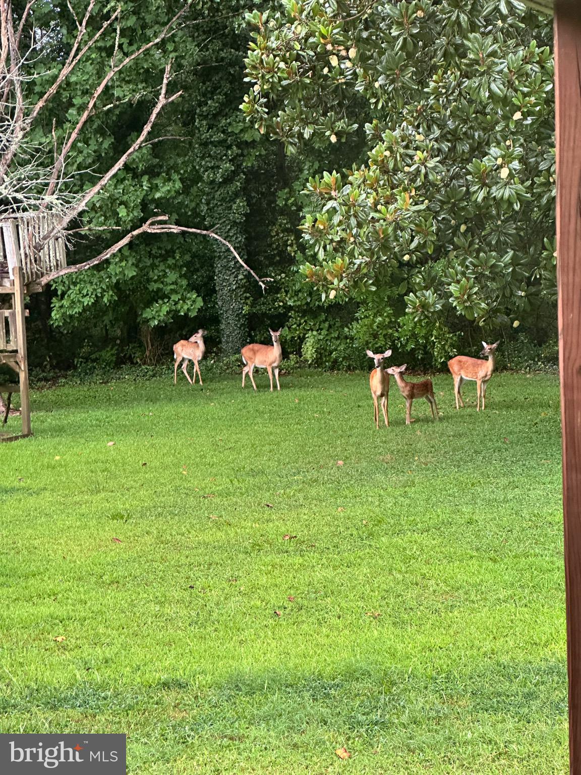 SHILOH DIST - Residential