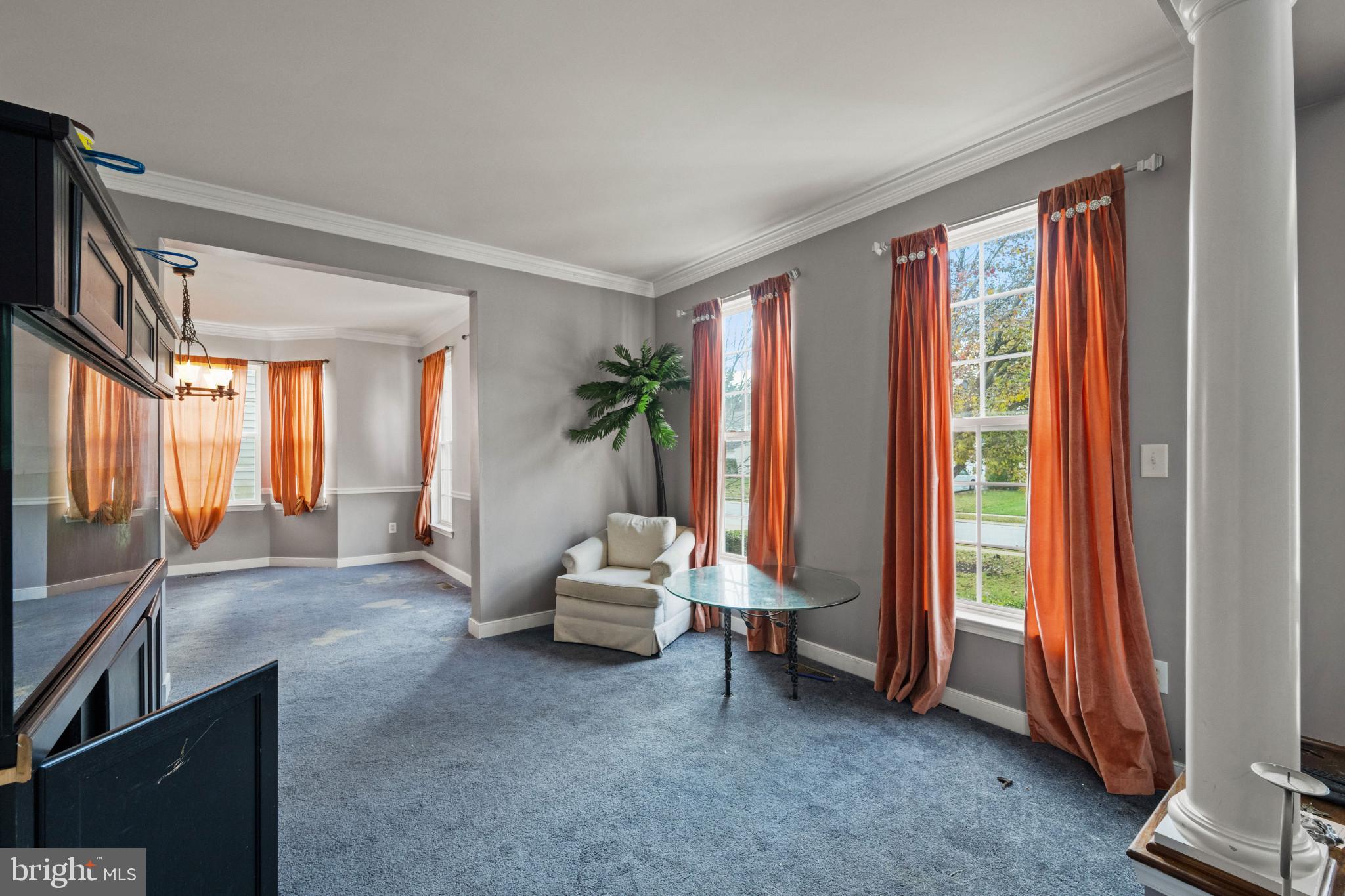 17217 RUSSETT FARM DRIVE