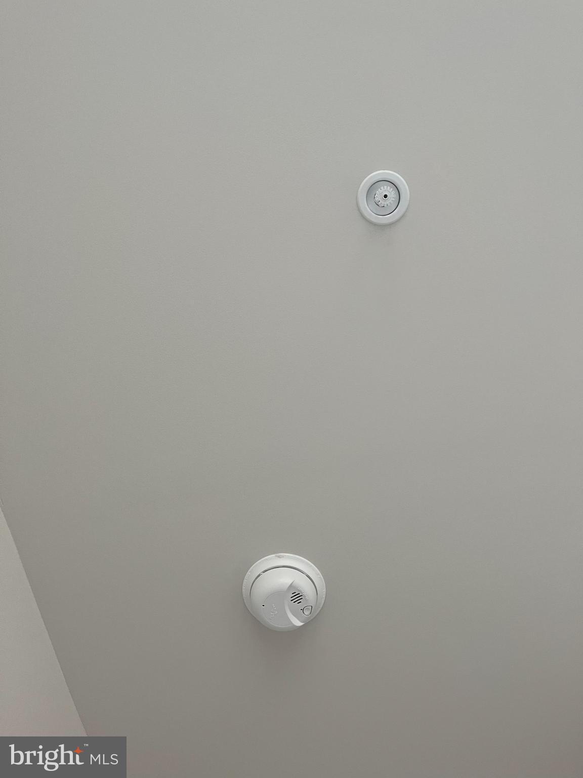 RIVER PIONTE - Residential Lease