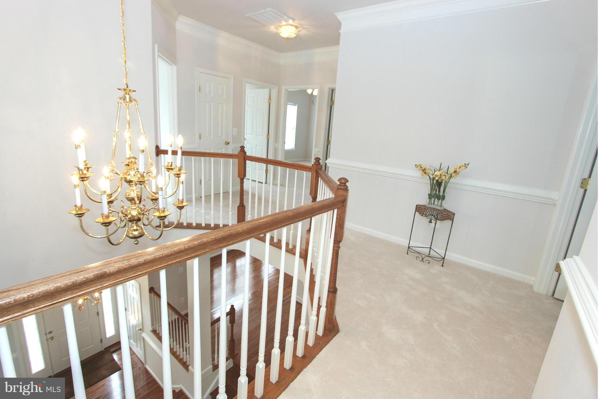 COOK INLET - Residential