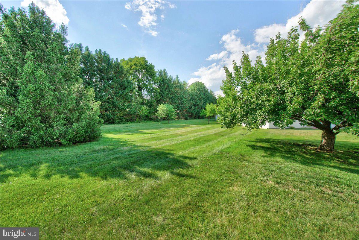 6864 SNOWBERRY COURT