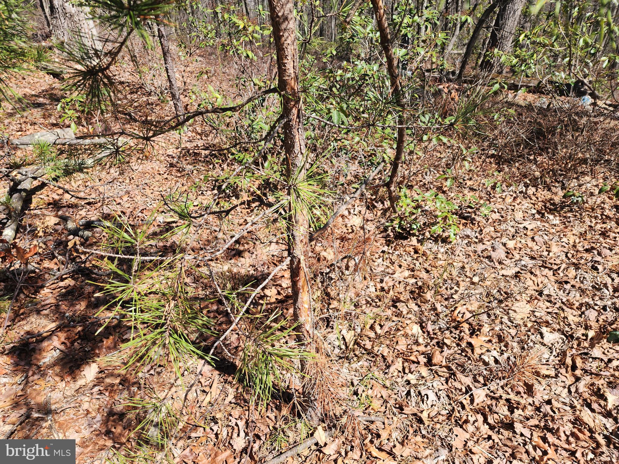 ELK HORN SUBDIVISION - Residential