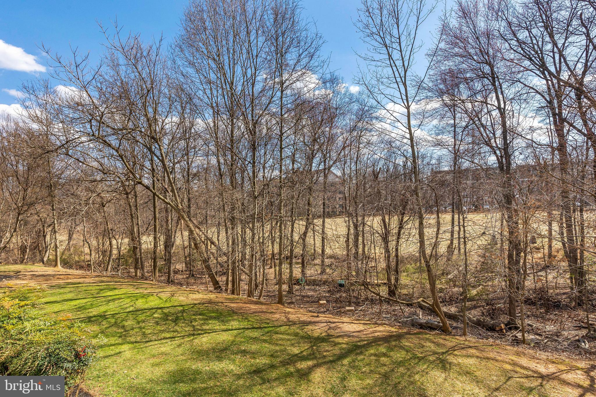 MAYS CHAPEL NORTH - Residential