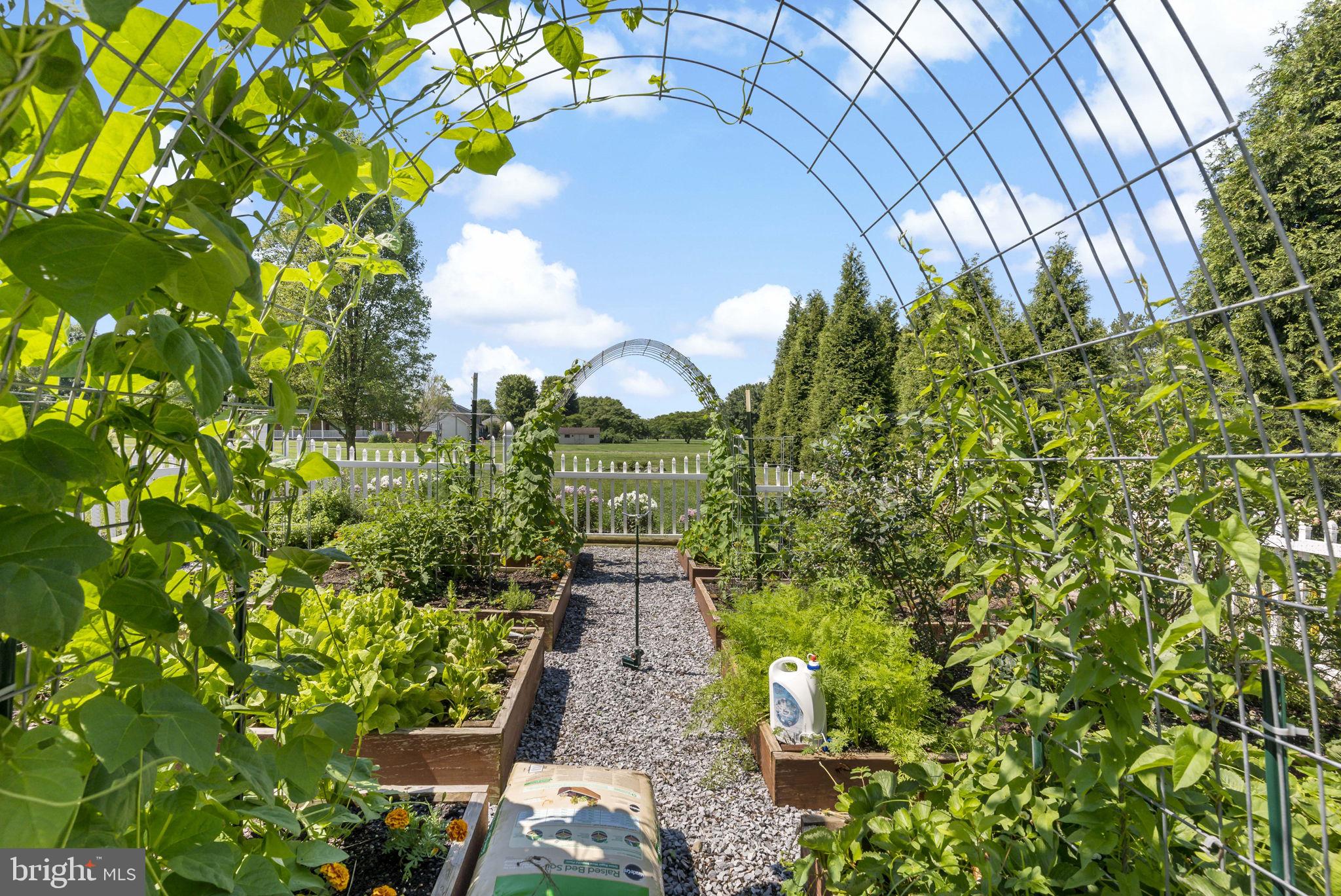 SWAN DALE FARMS - Residential