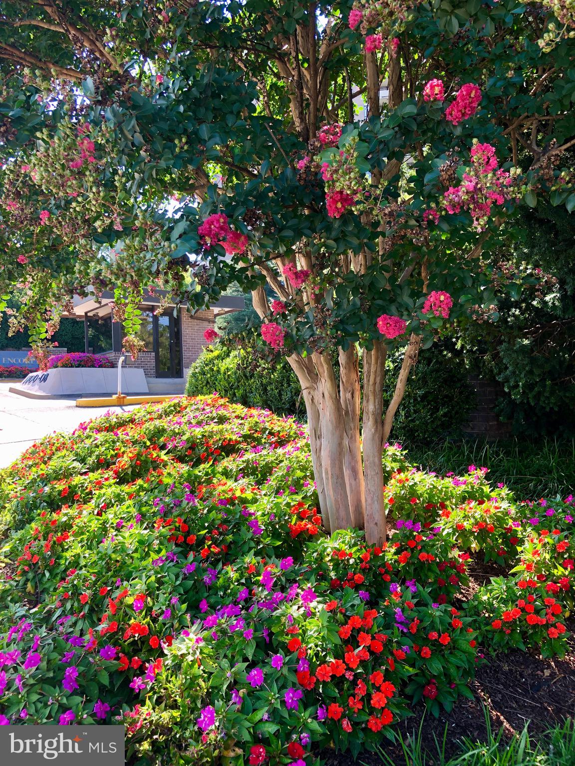 REGENCY AT MCLEAN - Residential Lease