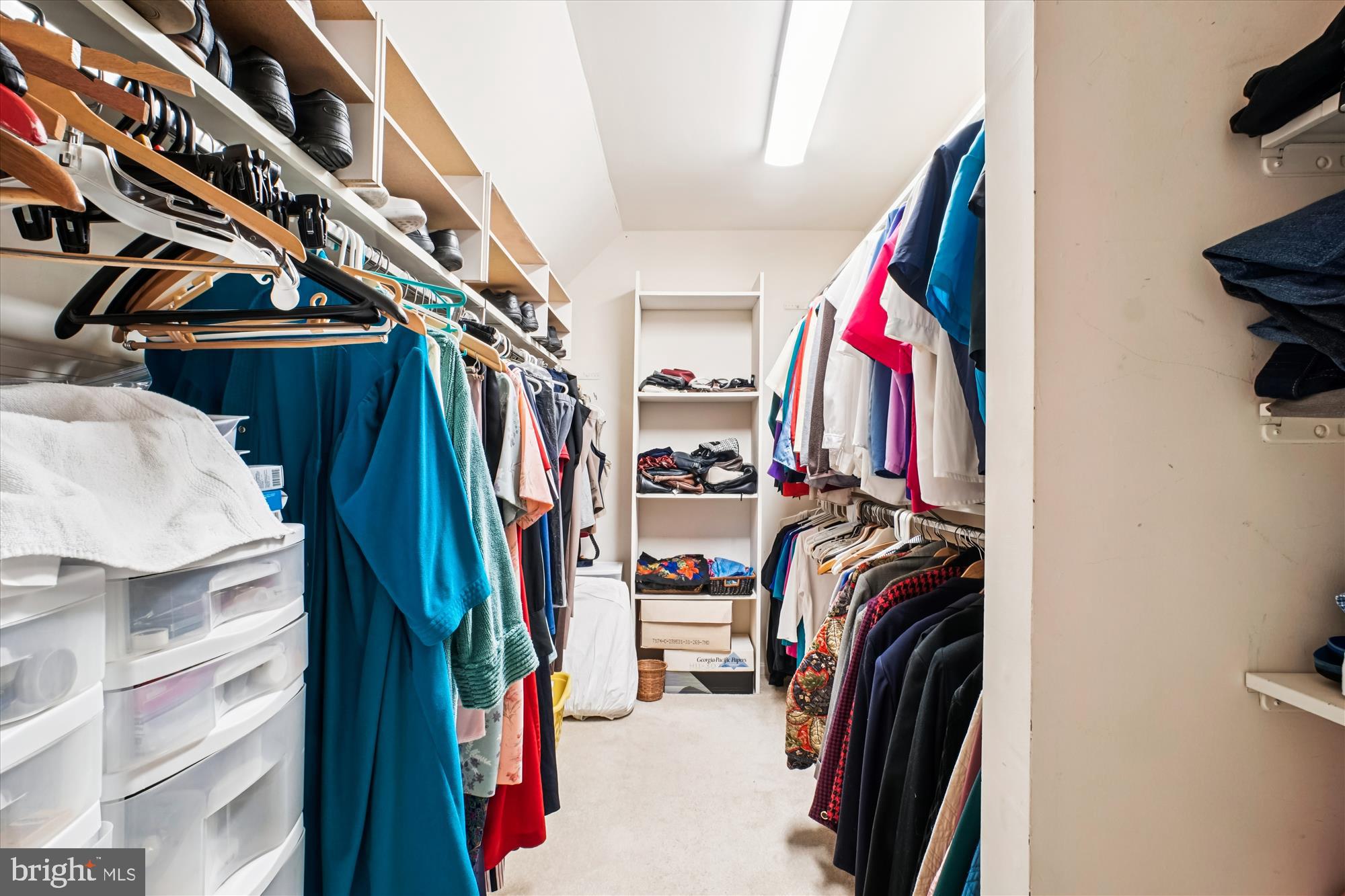 WOLF TRAP WOODS - Residential