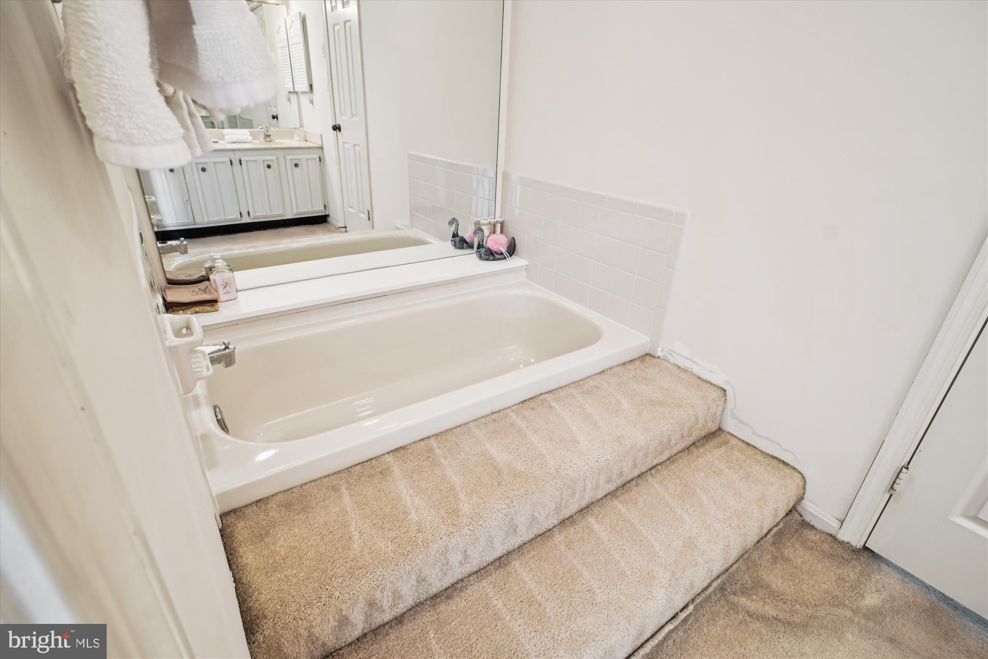 WOLF TRAP WOODS - Residential