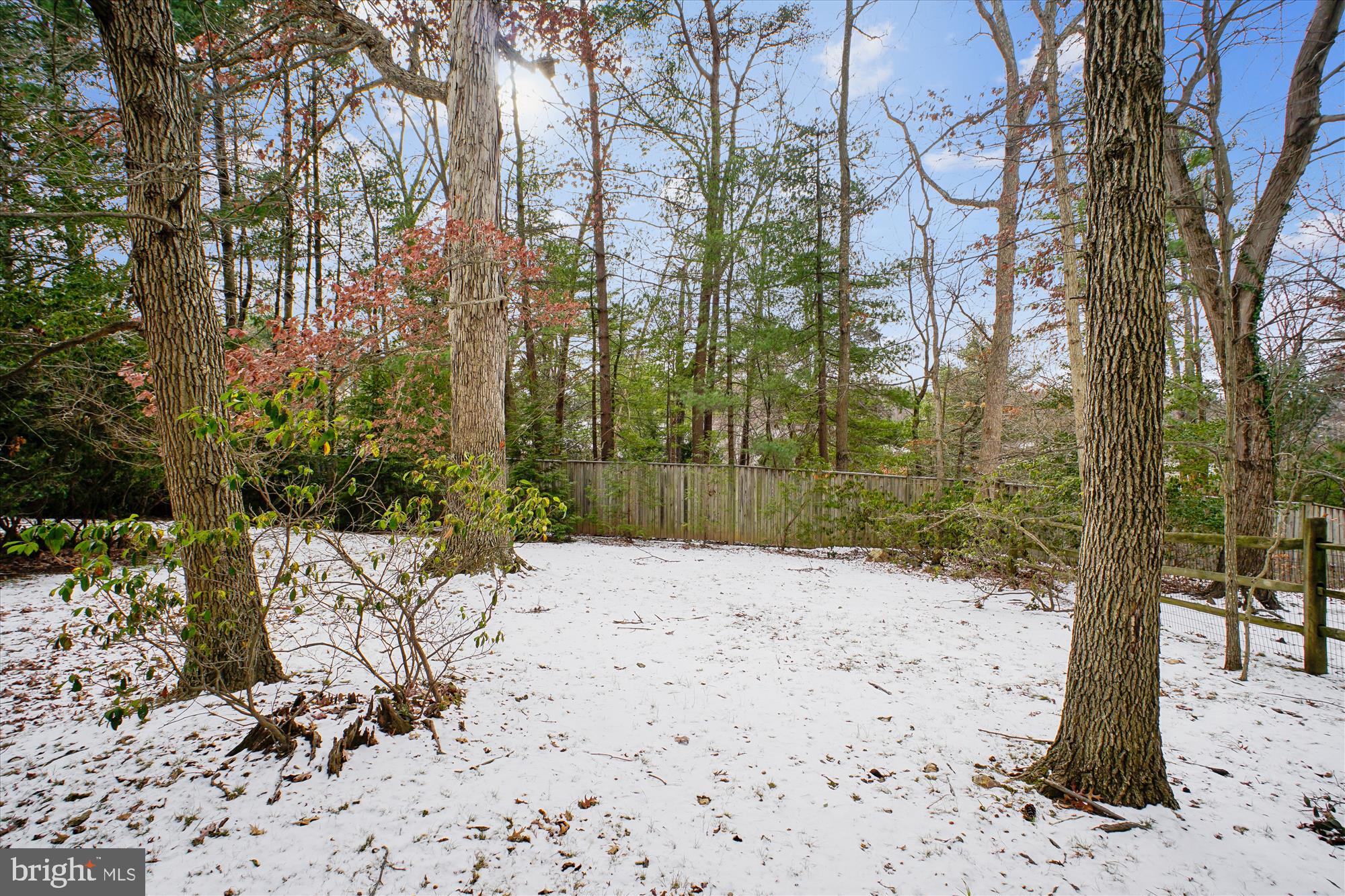 WOLF TRAP WOODS - Residential