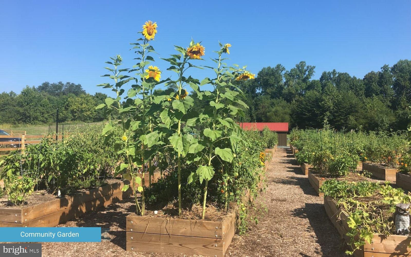 TWO RIVERS - Residential