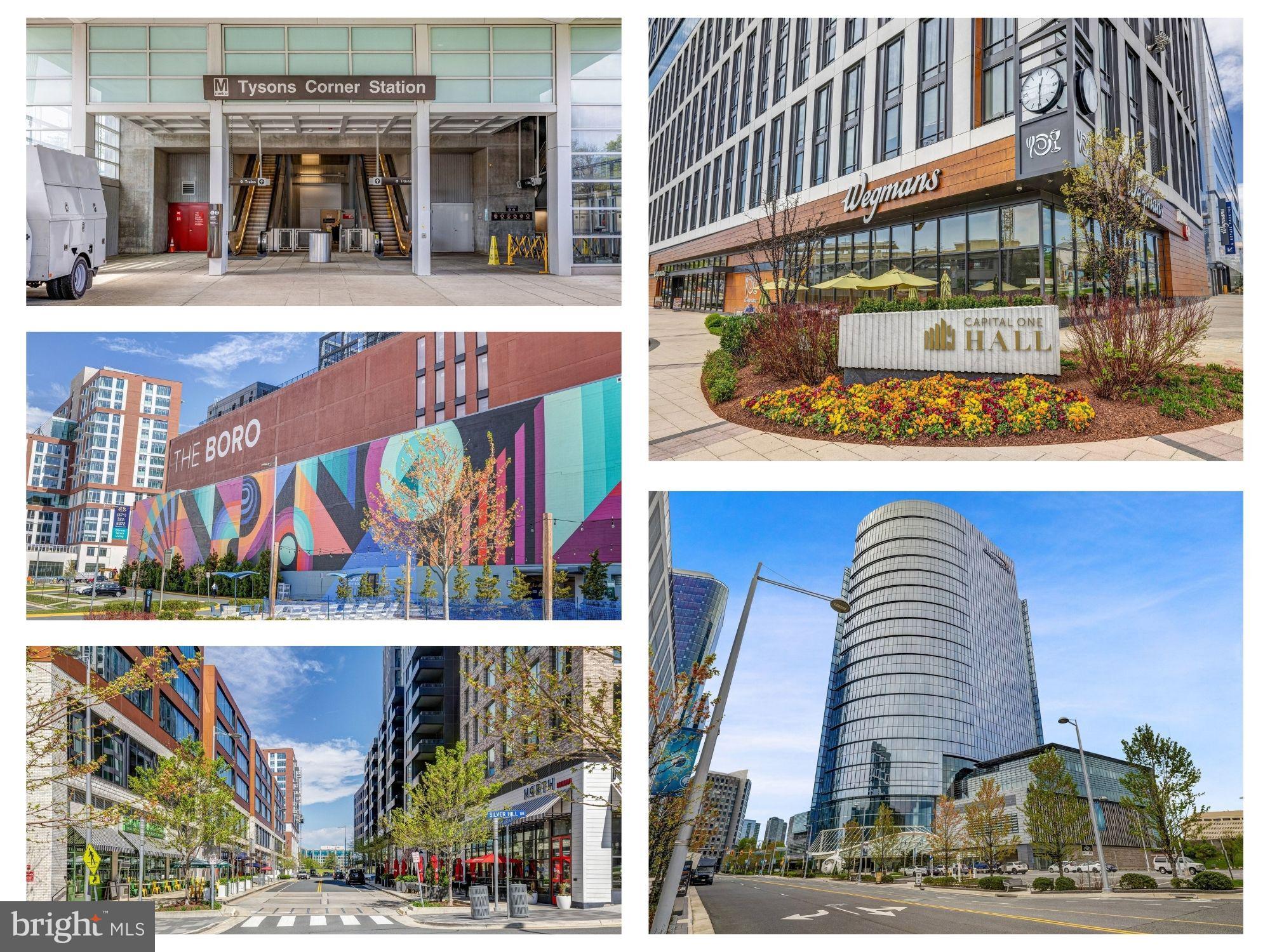 MADISON OF MCLEAN - Residential