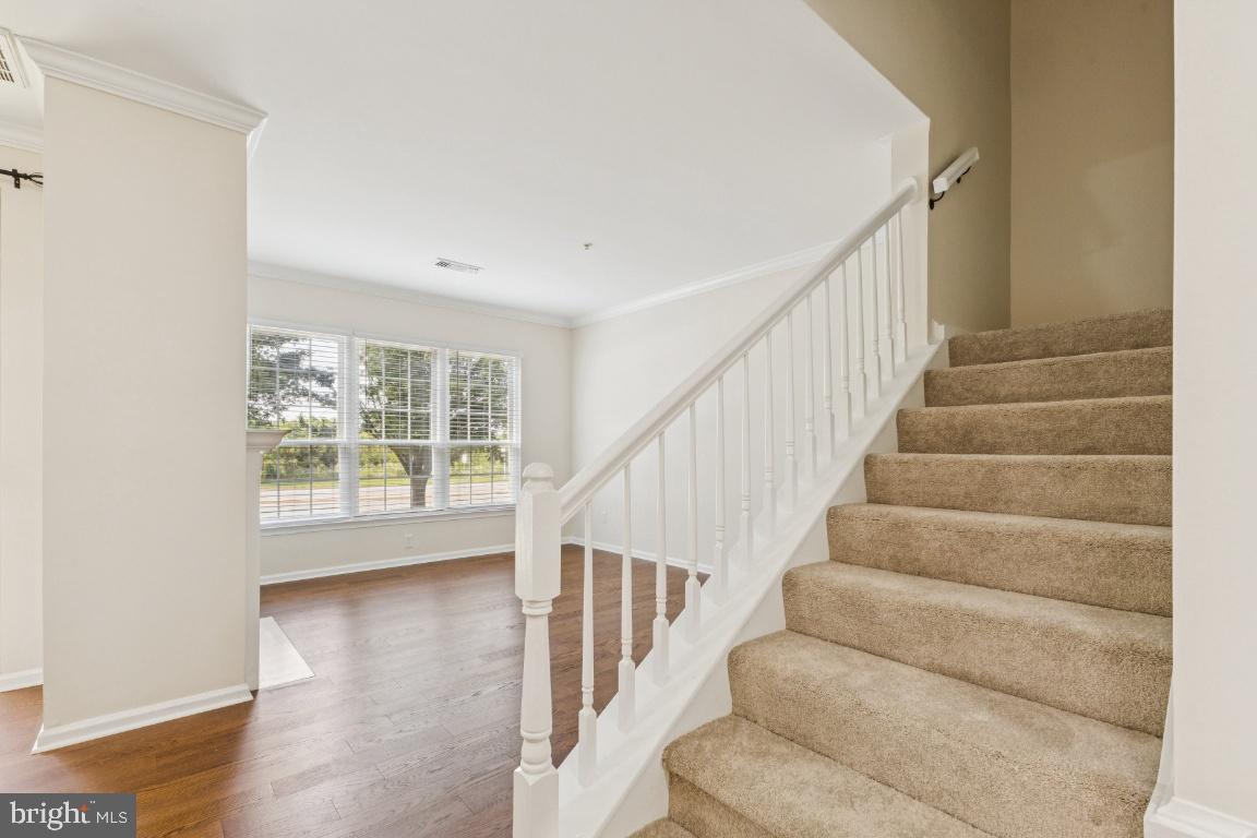 45071 BRAE TERRACE 103