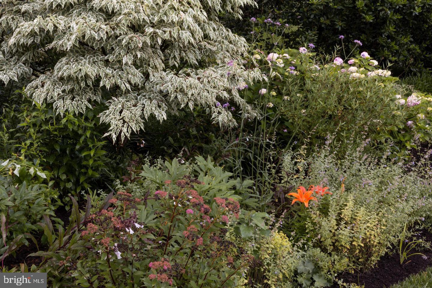 RICH E LAND - Residential