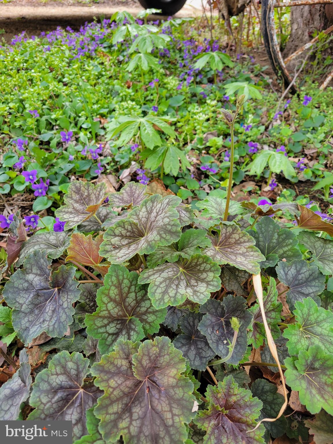 COLONY HILLS - Residential