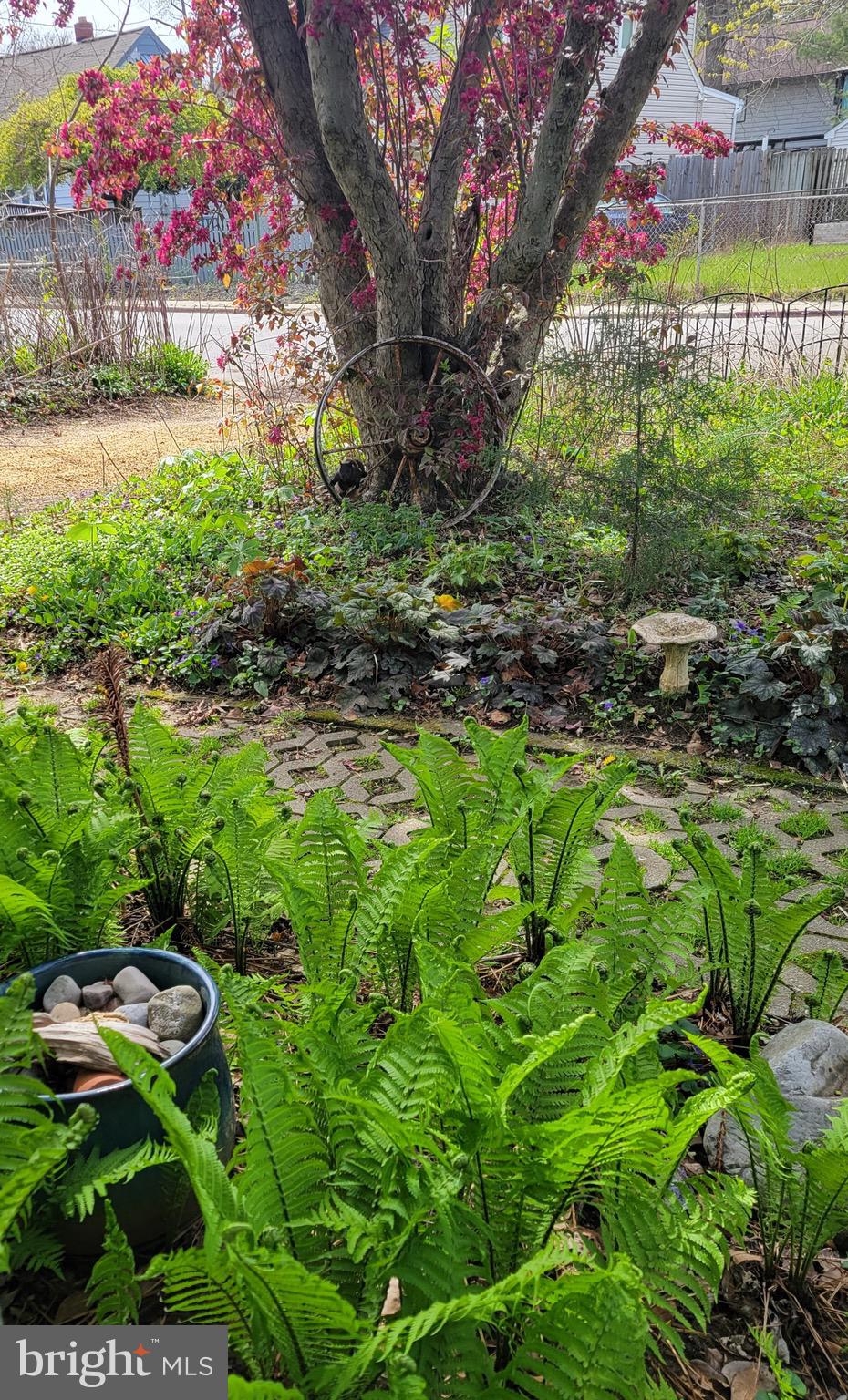 COLONY HILLS - Residential