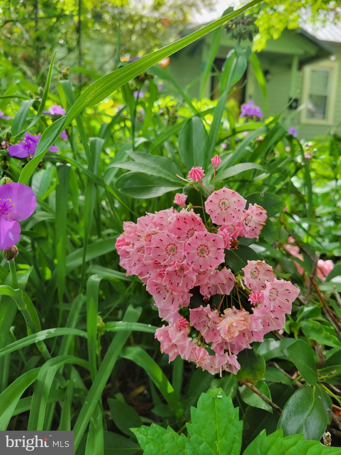 COLONY HILLS - Residential