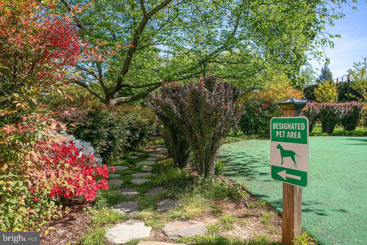 ROTONDA - Residential Lease