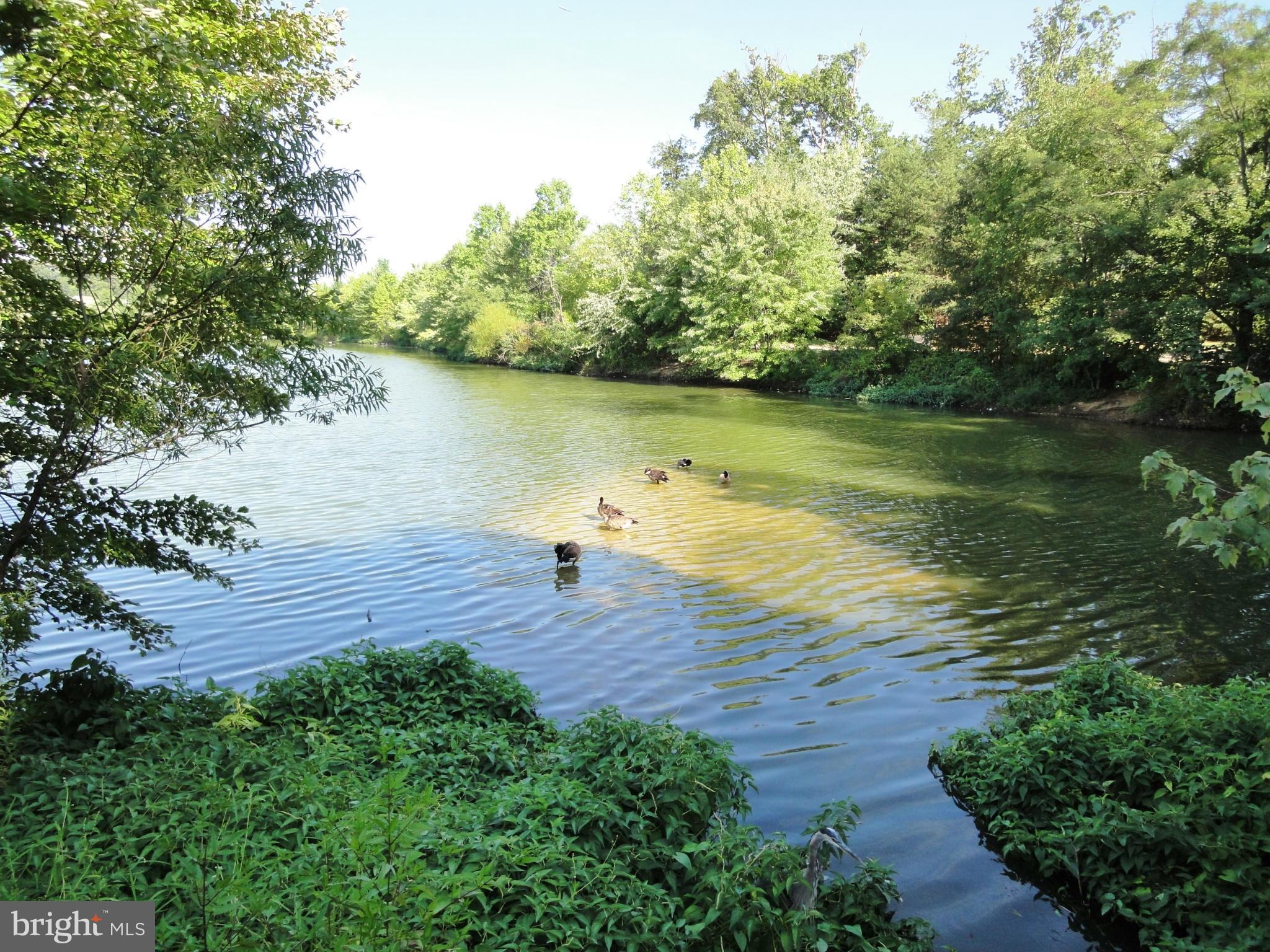 CHANCERY OF KINGSTOWNE - Residential