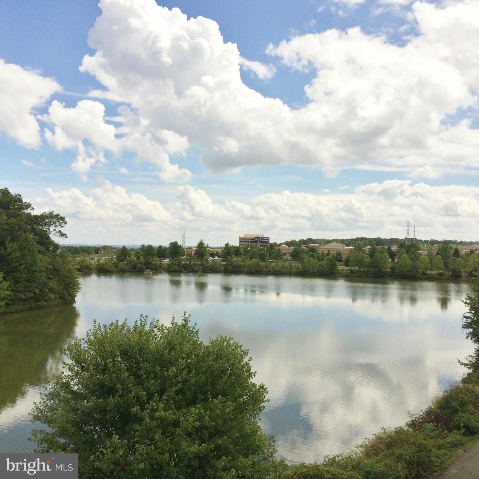 CHANCERY OF KINGSTOWNE - Residential