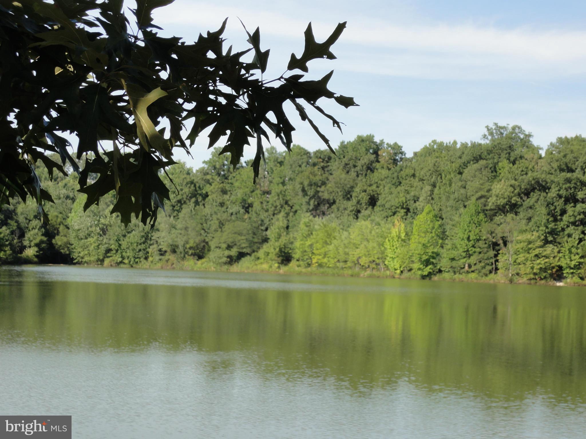 CHANCERY OF KINGSTOWNE - Residential