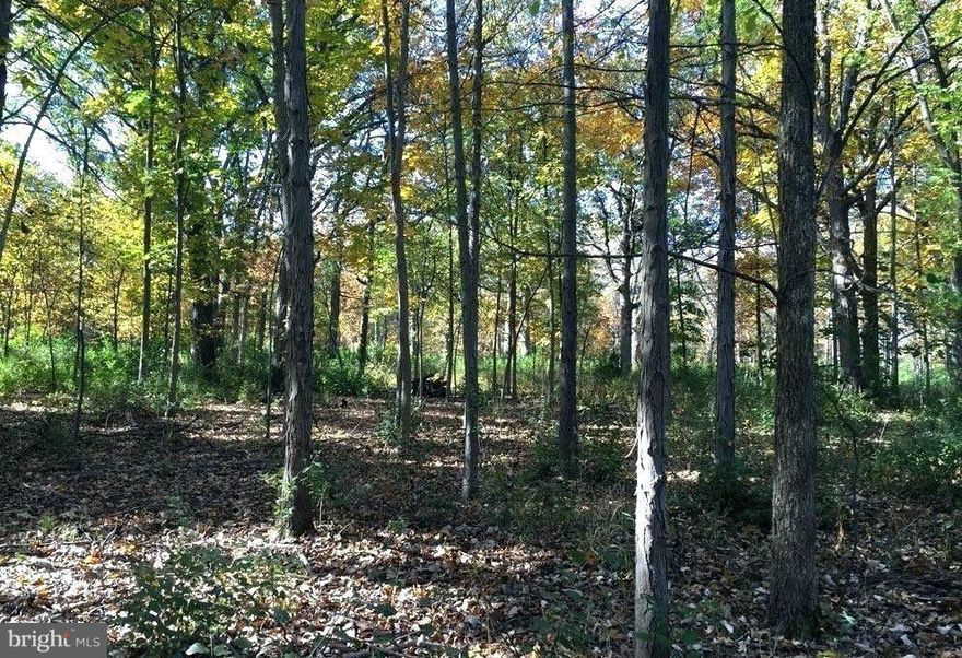 BEAUTIFUL, LARGE WOODED LOT. THIS IS A RECORDED LOT AND PERKED AND APPROVED FOR 4 BEDROOM HOME WITH WALKOUT POTENTIAL. IF YOU ARE LOOKING FOR PRIVACY, NATURE, AND WILDLIFE THIS IS THE PERFECT LOCATION. ROCK STATE PARK BORDERS THIS LOT RIGHT ACROSS STREET. PLAT AVAILABLE.  HARFORD COUNTY SAYS A 2 STORY HOUSE WITH BASEMENT CAN BE BUILT ON THE PROPERTY.