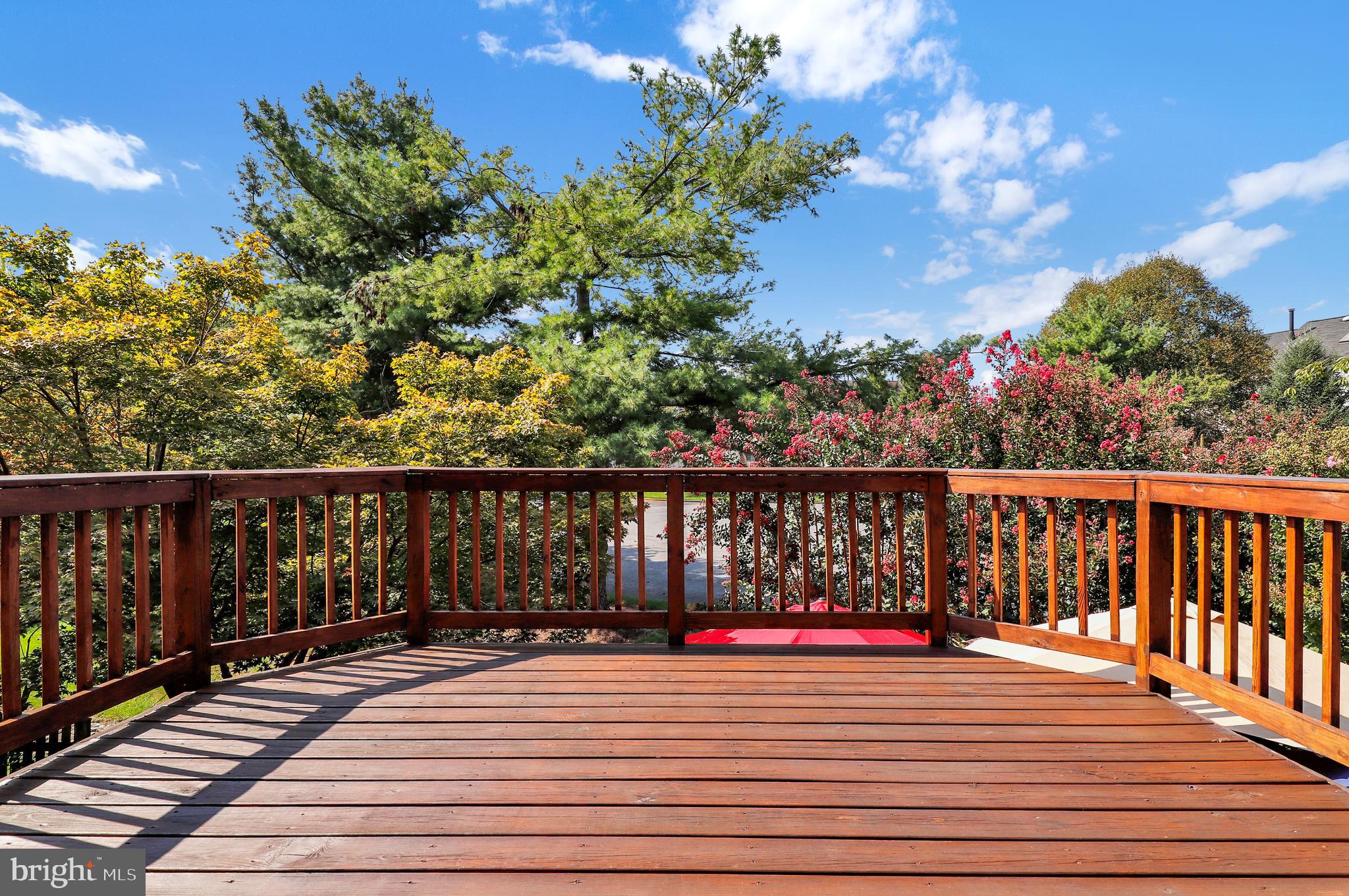 SOCIETY CIRCLE - Residential