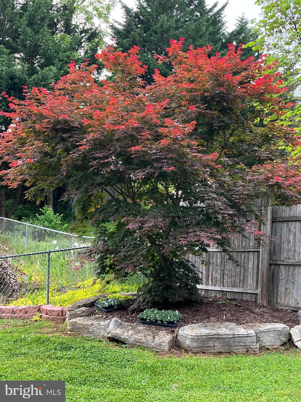 BROOKHAVEN - Residential