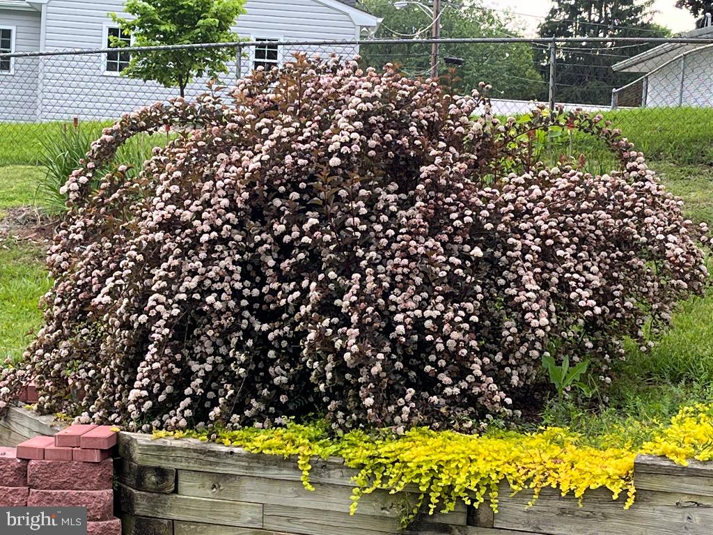 BROOKHAVEN - Residential