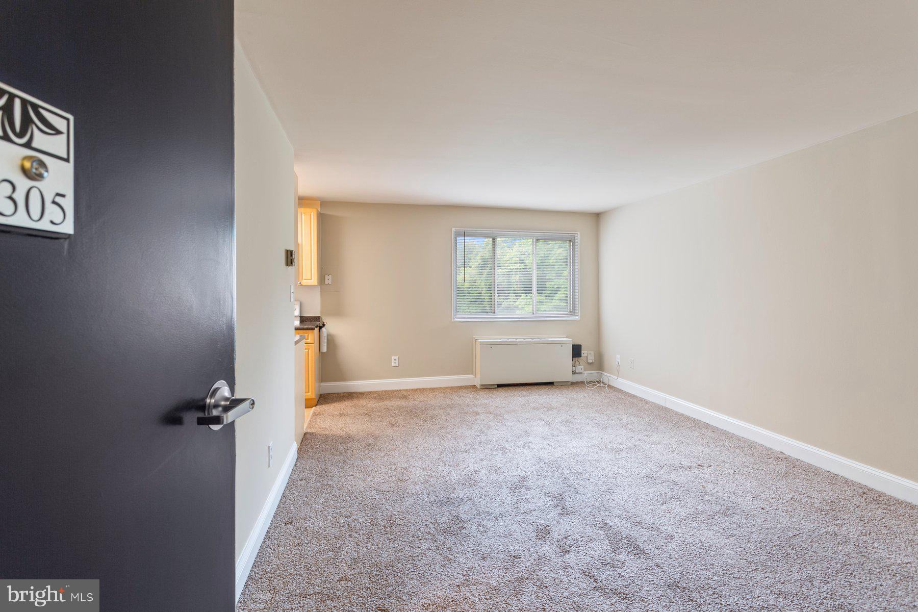 1009 CHILLUM ROAD 305