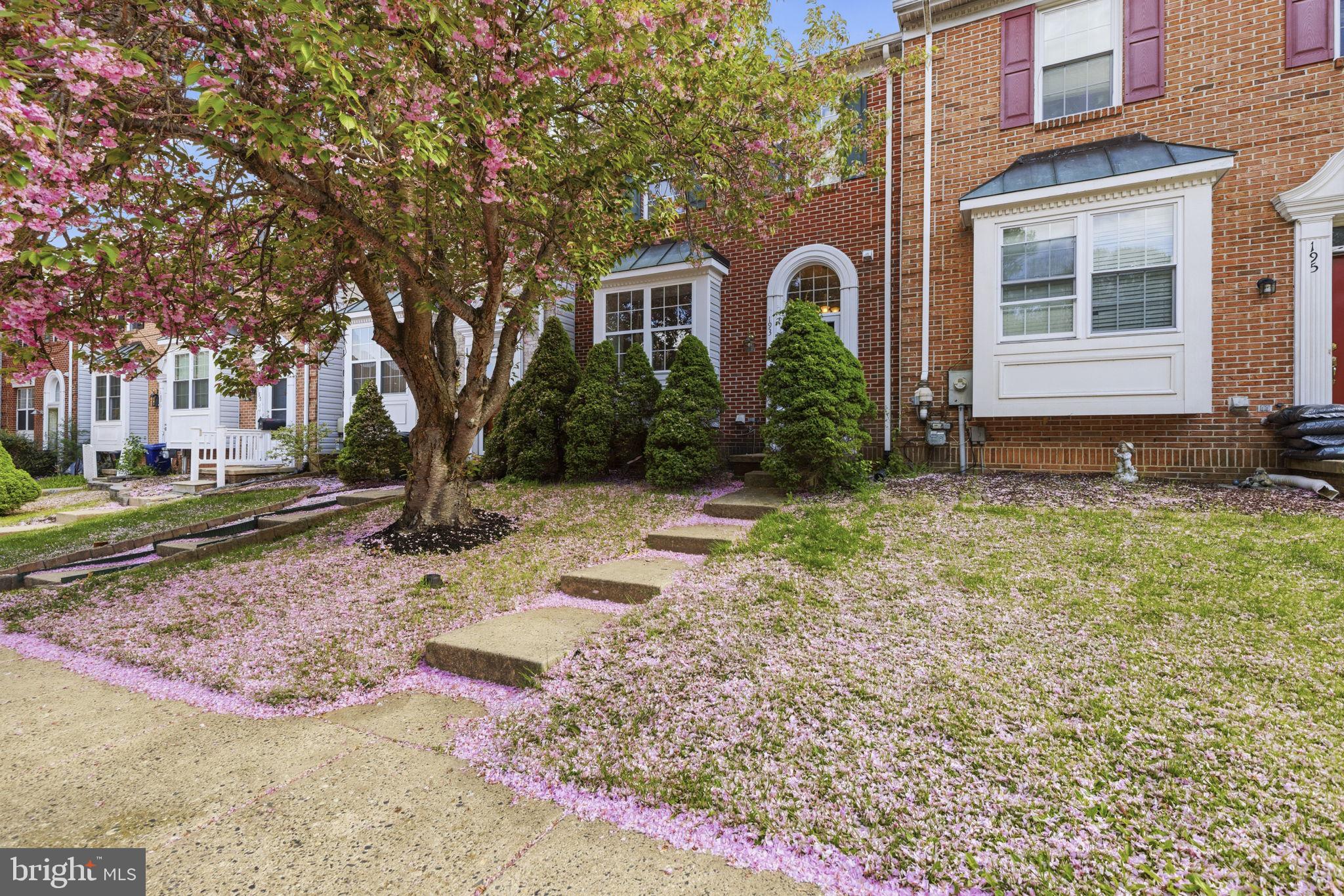 CONSTANT FRIENDSHIP - Residential