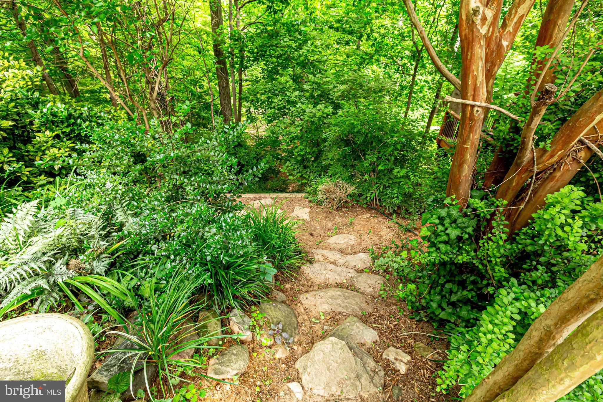 BROYHILL FOREST - Residential