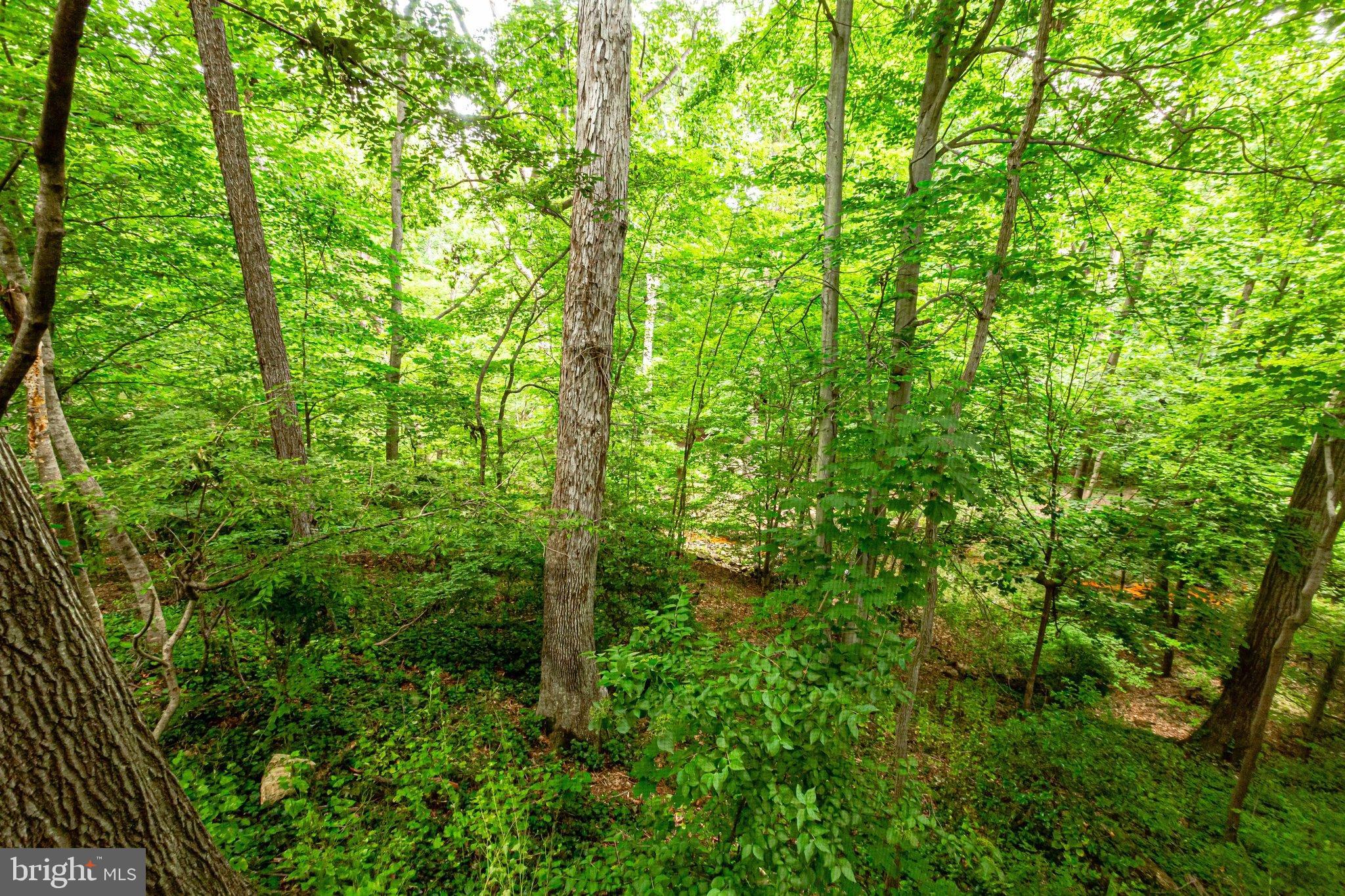 BROYHILL FOREST - Residential