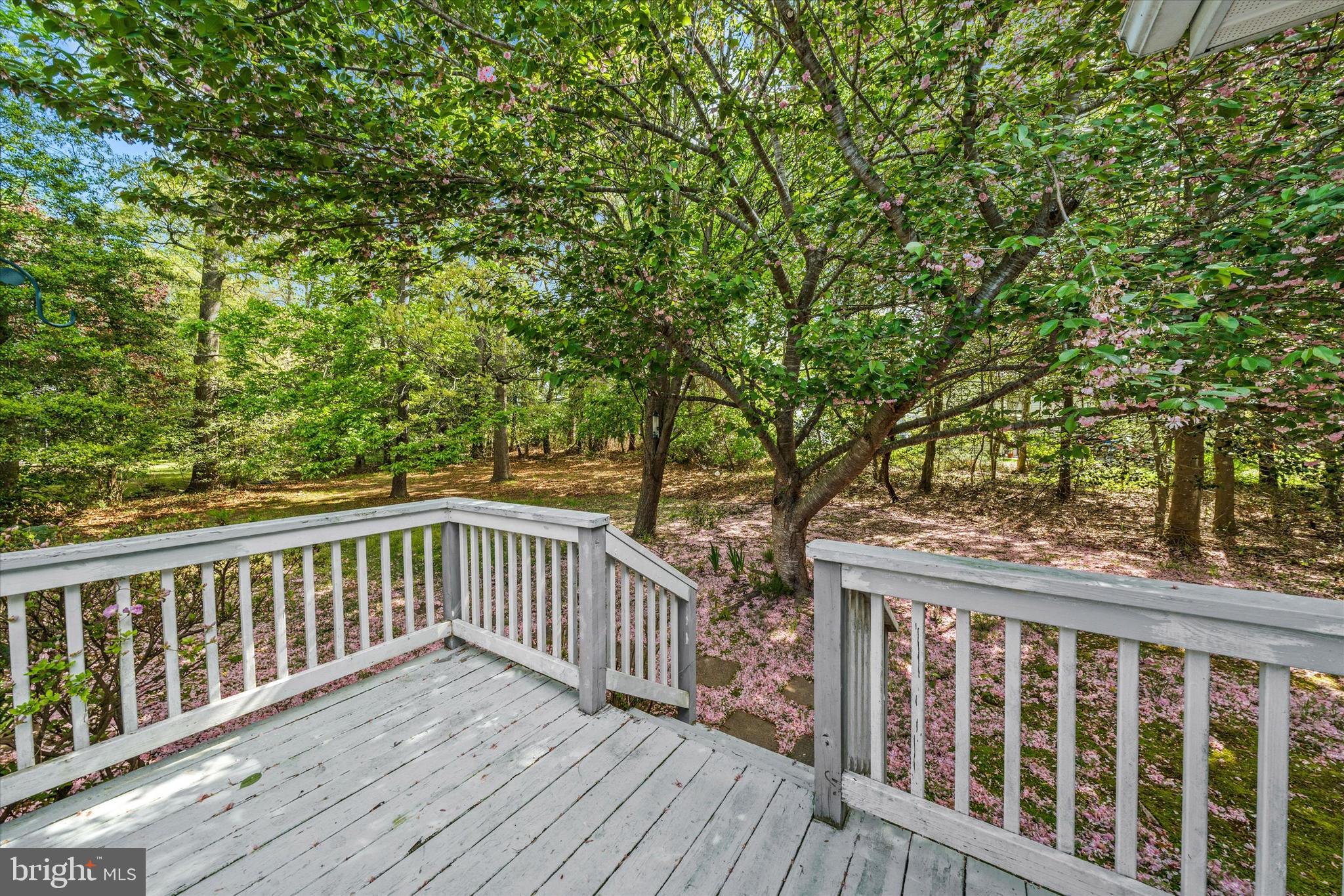 COVE ON HERRING CREEK - Residential