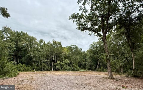 Vacant Land For Sale - Utica Road #PARCEL 4<br/> GREENWOOD, DE 19950