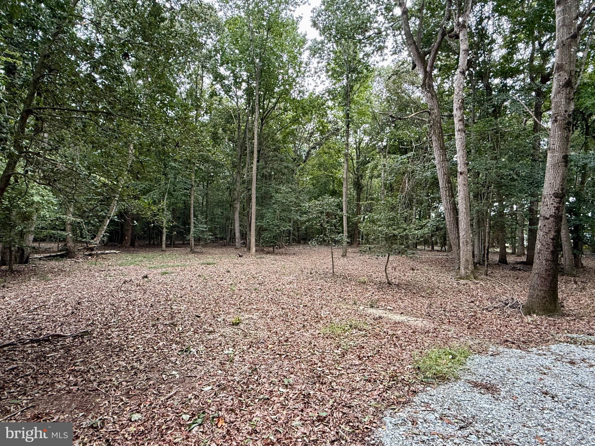 0 UTICA ROAD PARCEL 4