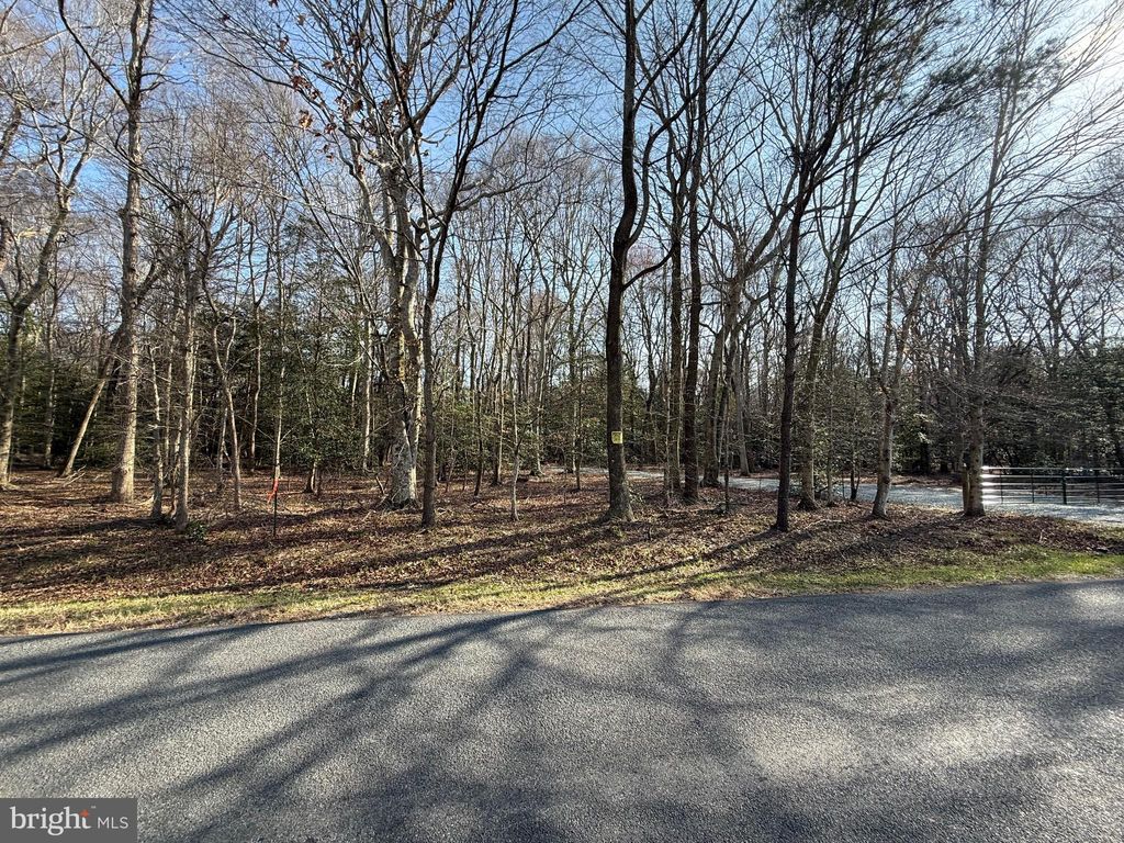 Photo of 0 Utica Road #PARCEL 4, GREENWOOD, DE 19950 (MLS # DESU2108348)
