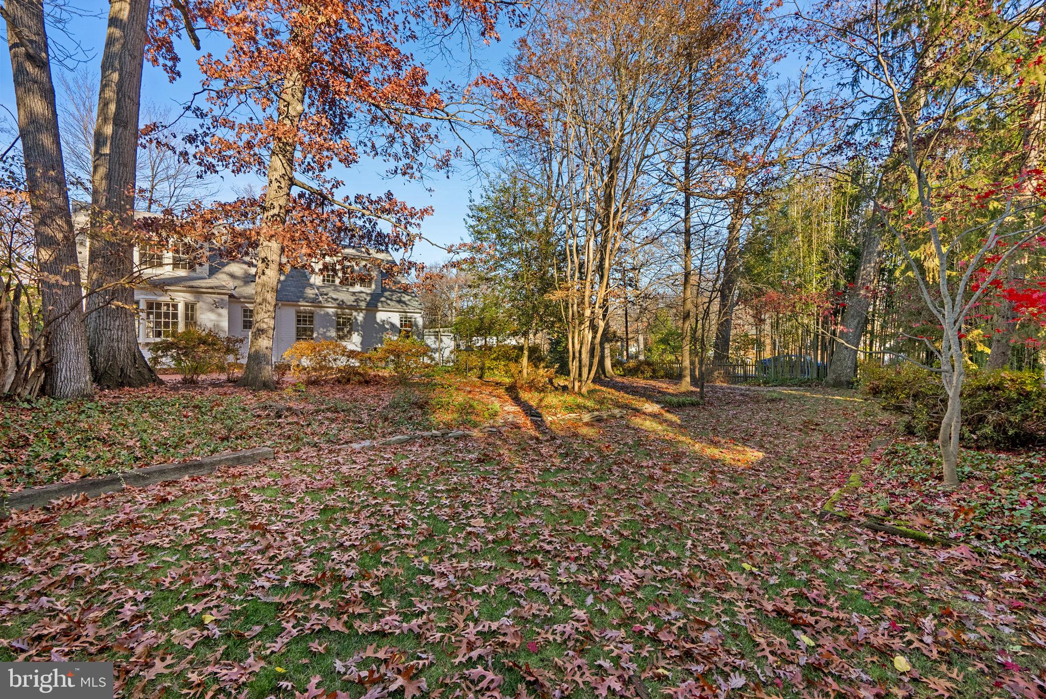 COLLEGE PARK - Residential