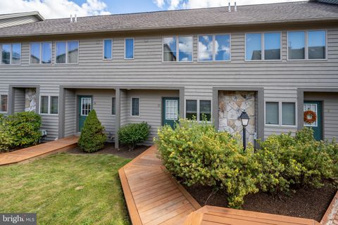 257 MARSH HILL ROAD 37 MC HENRY MD 21541