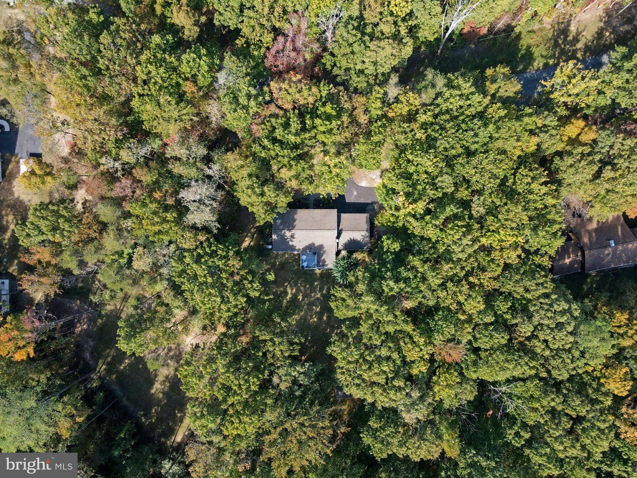 515 WALNUT DRIVE