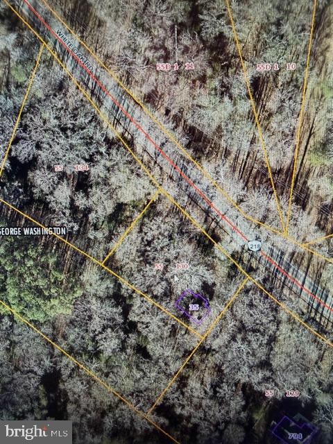 35 BOGGY CREEK