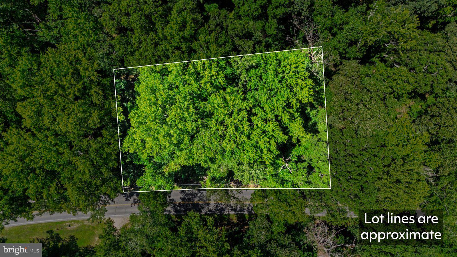 35 BOGGY CREEK