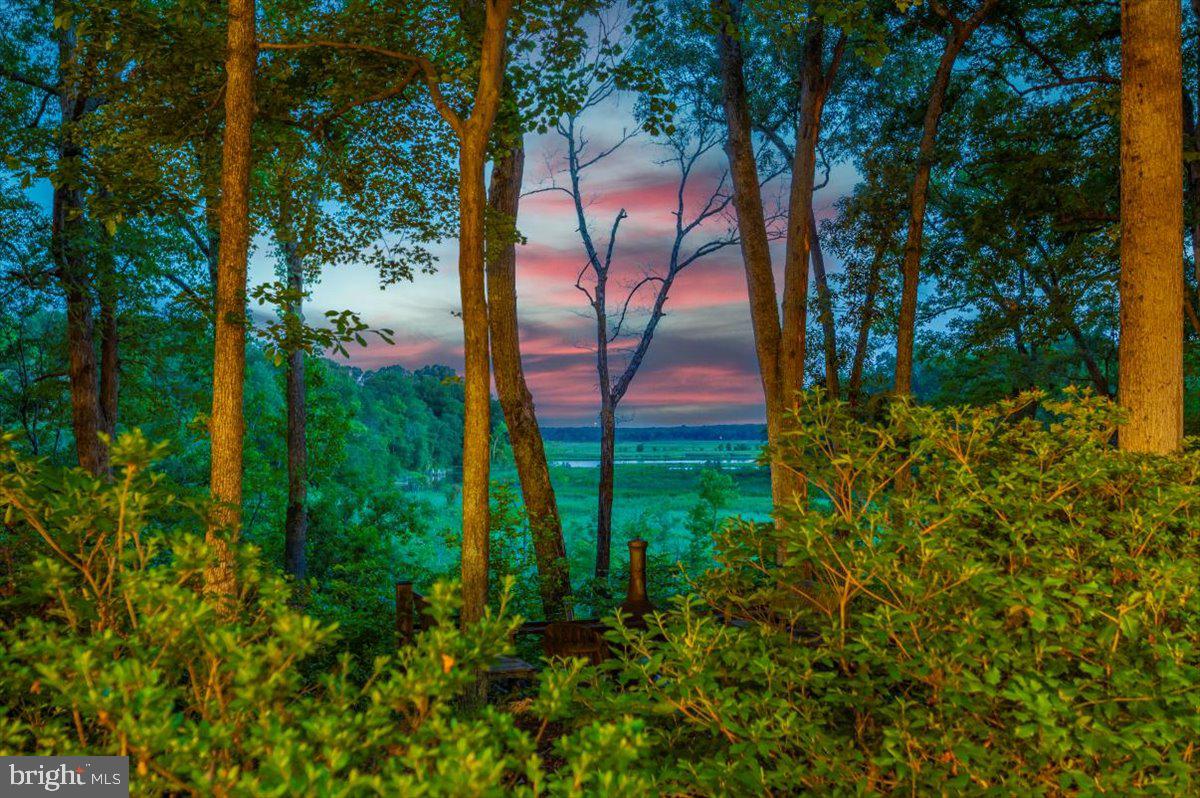 PATUXENT PALISADES - Residential