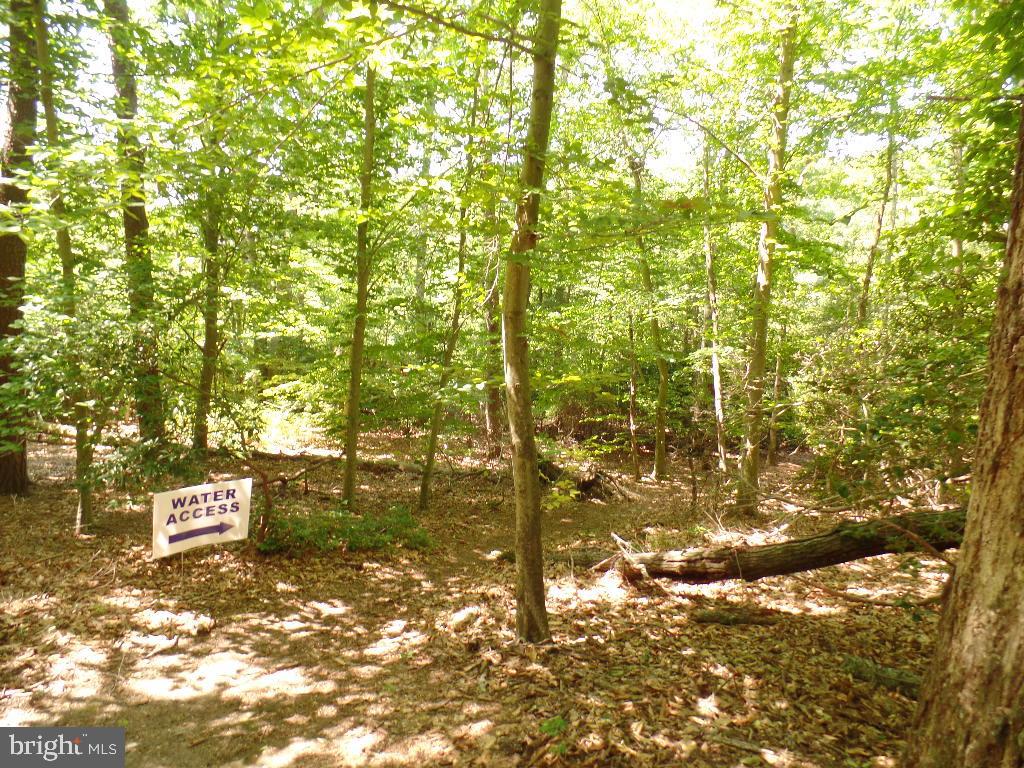 PATUXENT PALISADES - Residential