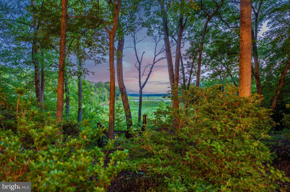 PATUXENT PALISADES - Residential