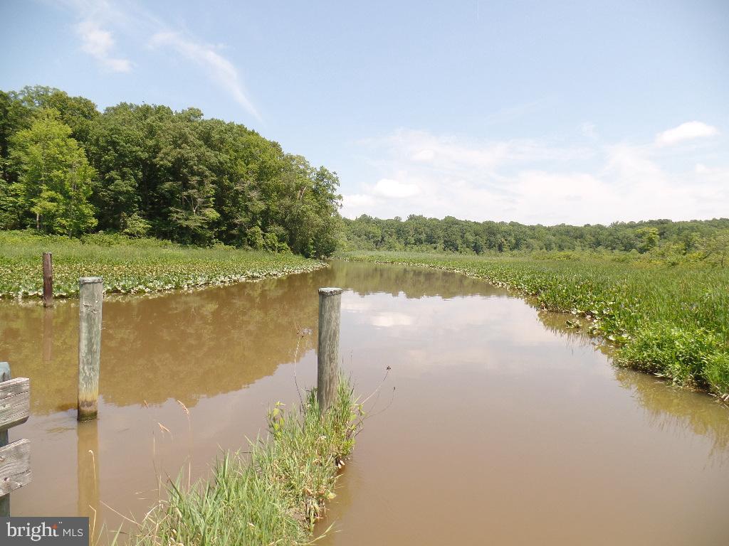 PATUXENT PALISADES - Residential